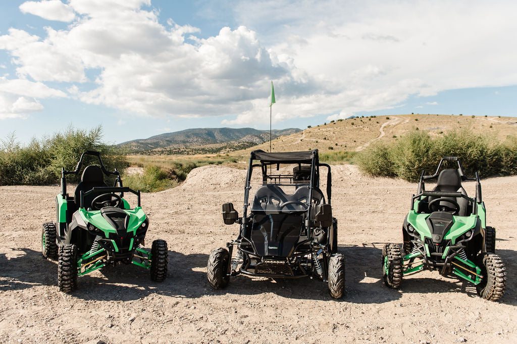 Electric Mini UTV (1 Seat)