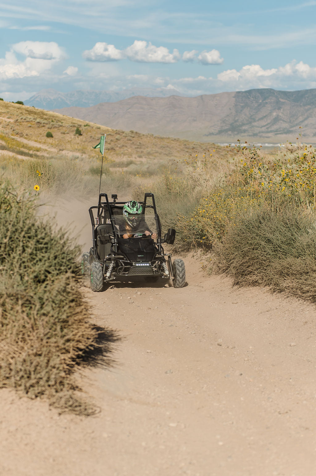 Electric Go-Kart (2 Seat)