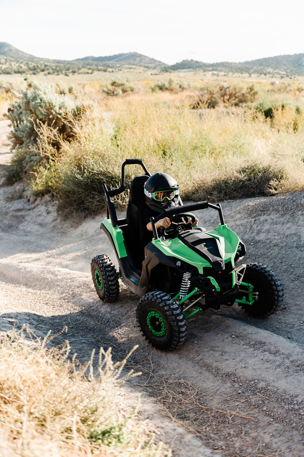 Electric Mini UTV (1 Seat)
