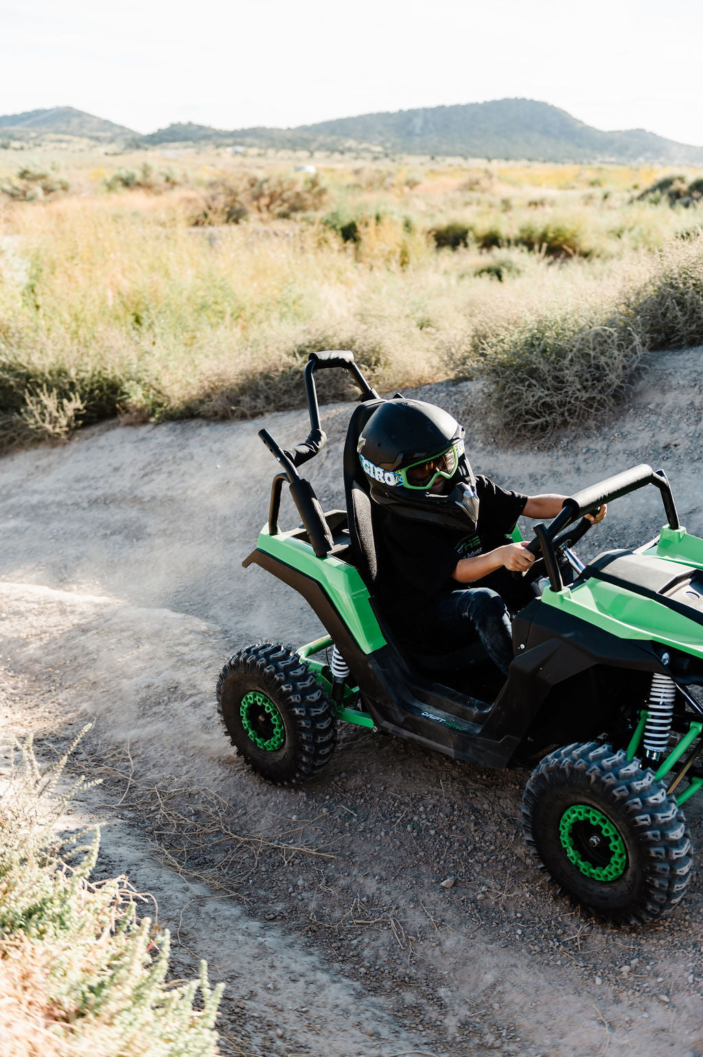 Electric Mini UTV (1 Seat)