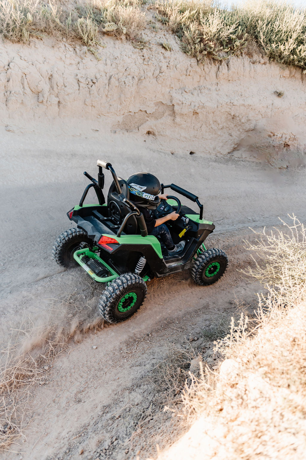 Electric Mini UTV (1 Seat)