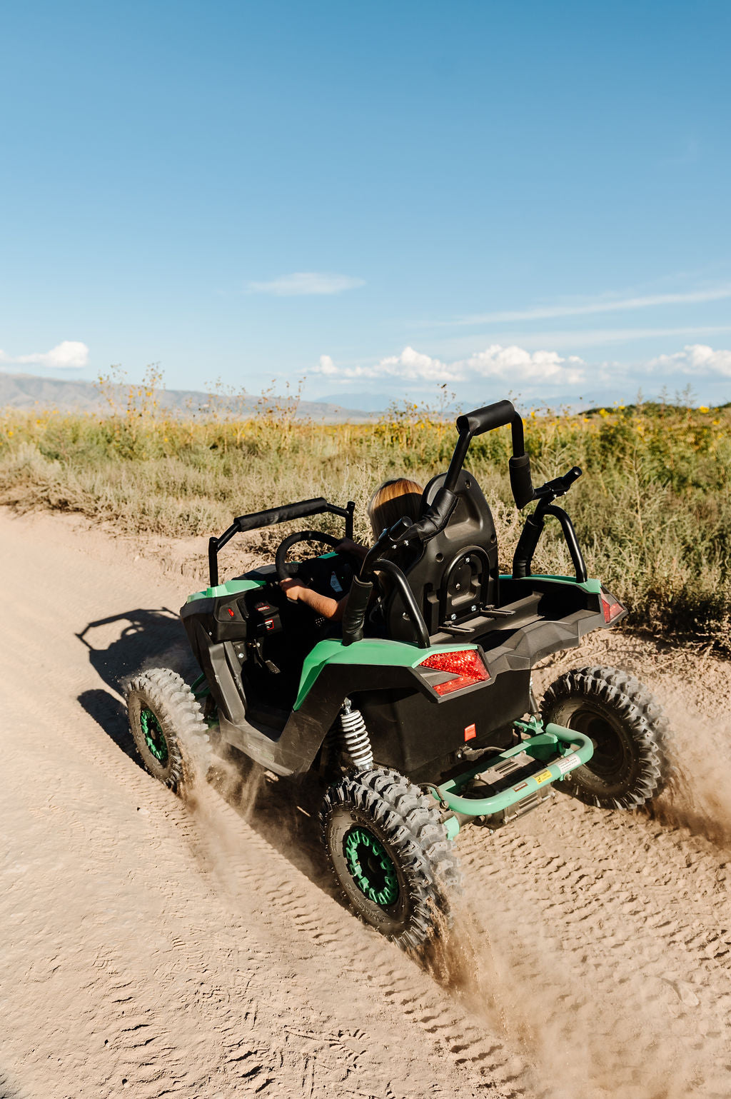 Electric Mini UTV (1 Seat)