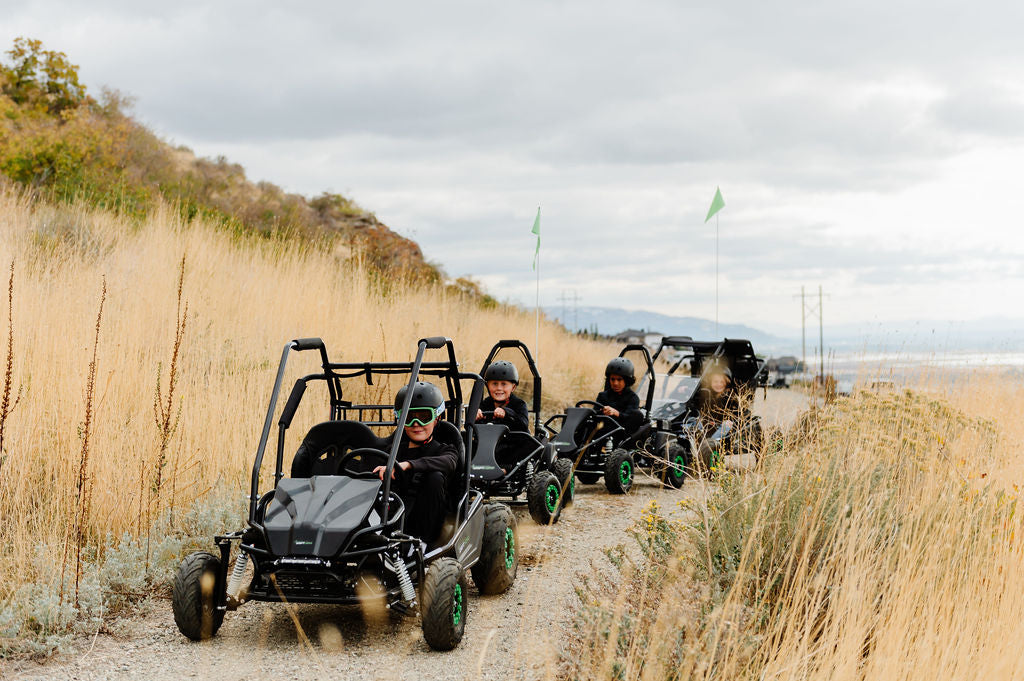 Gas Go-Kart (2 Seat)