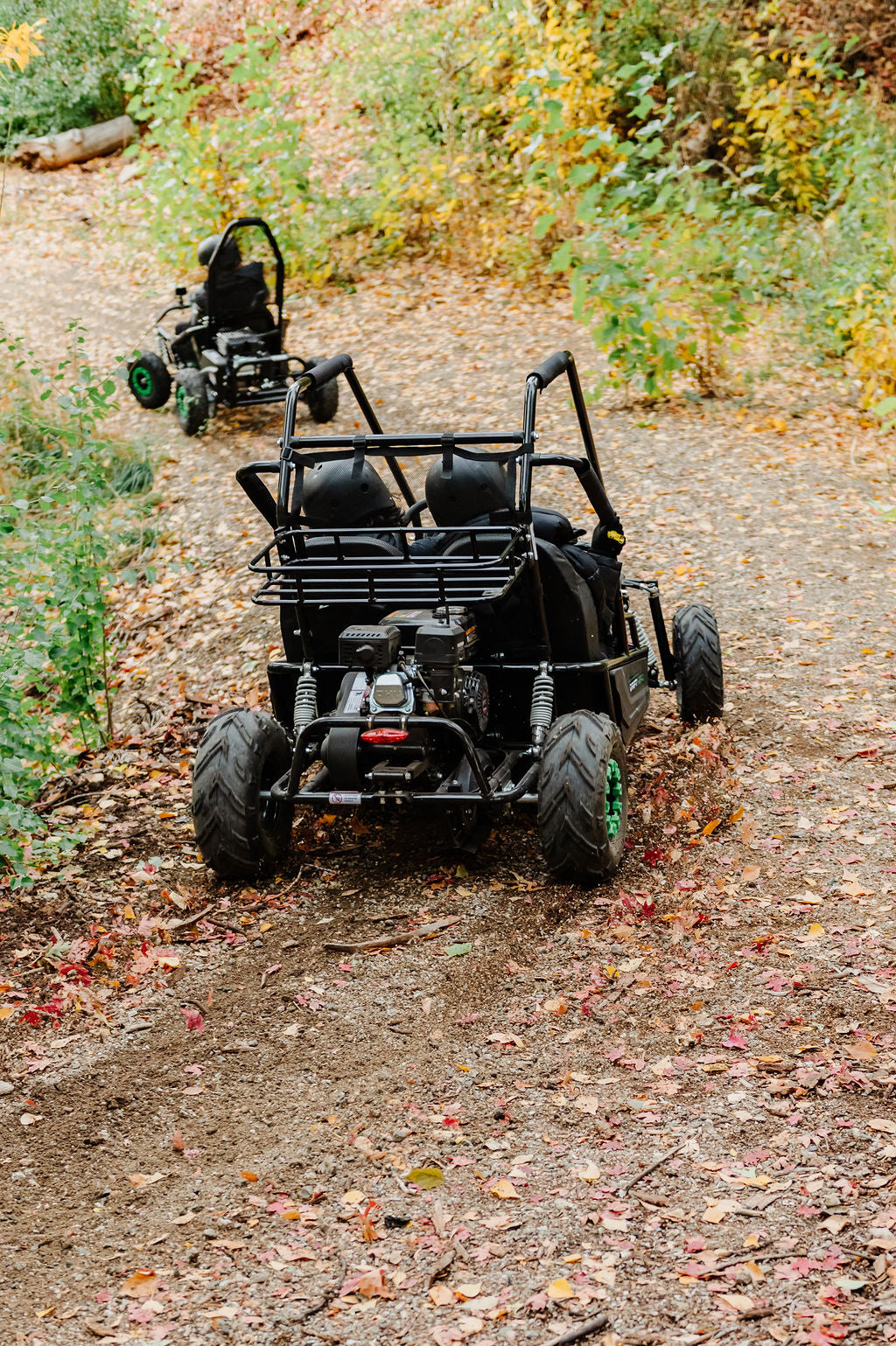 Gas Go-Kart (2 Seat)
