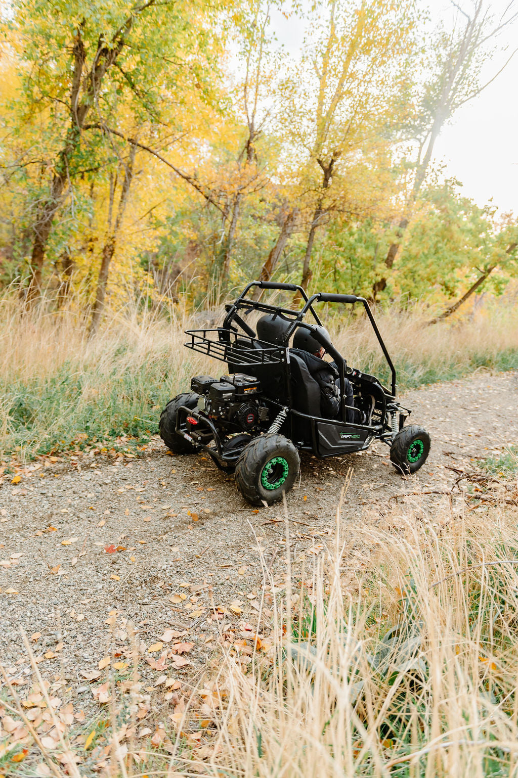 Gas Go-Kart (2 Seat)