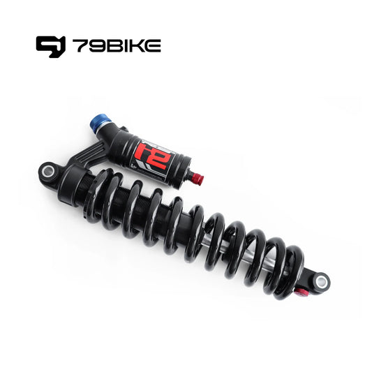 79Bike Falcon Pro All Black Conversion Kit
