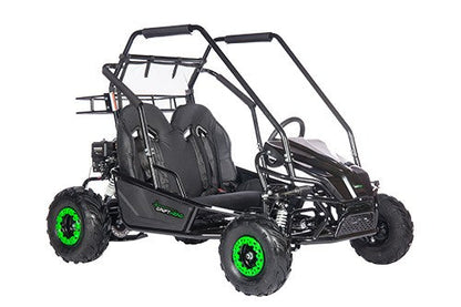 Gas Go-Kart (2 Seat)