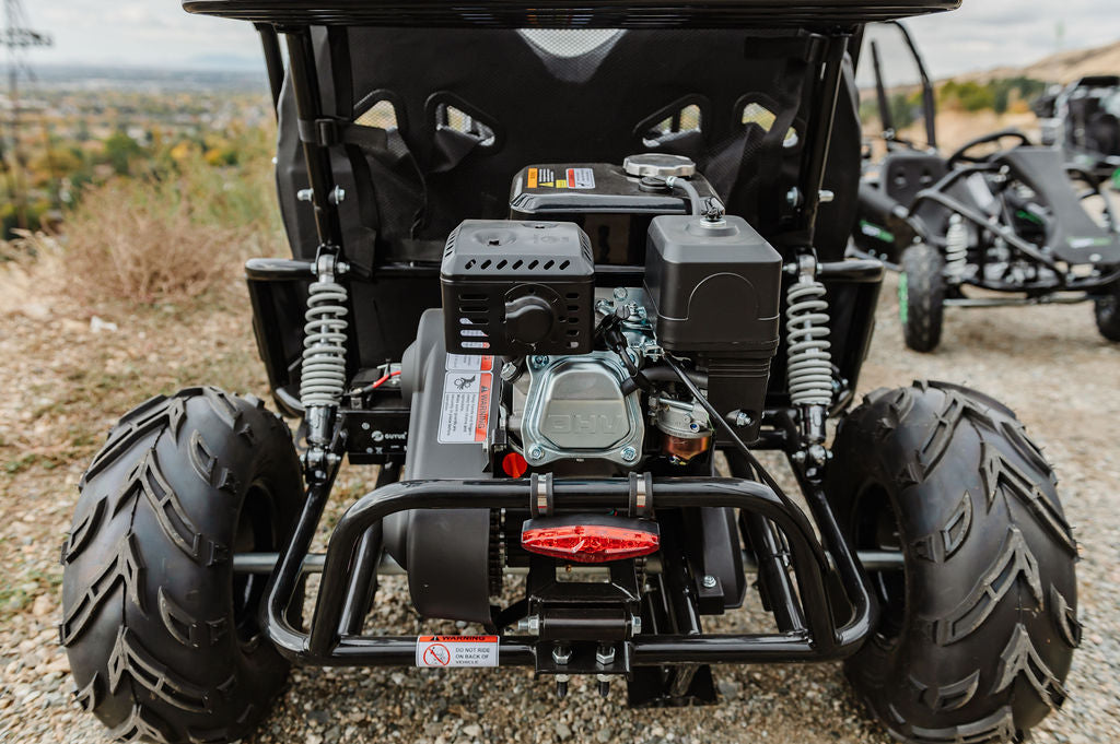 Gas Go-Kart (2 Seat)