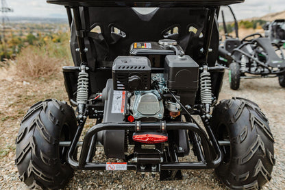 Gas Go-Kart (2 Seat)
