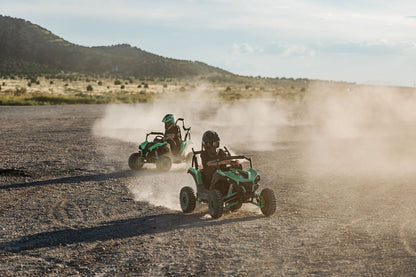 Electric Mini UTV (1 Seat)