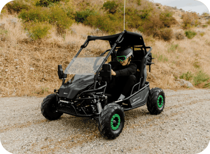 Gas Go-Kart (2 Seat)