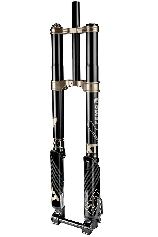 E-Bike Ferro Front Fork