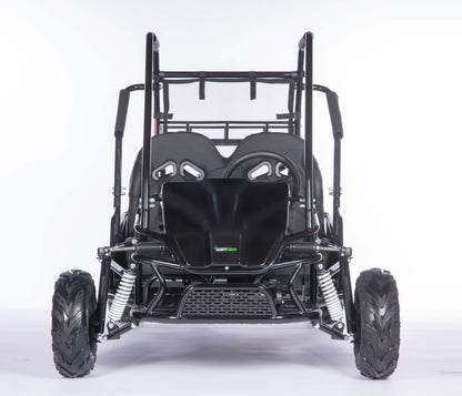 Gas Go-Kart (2 Seat)