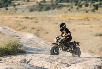 2500W Electric Dirt Bike