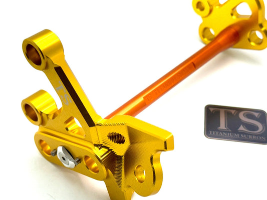 Custom CNC Aluminum Footpeg Bracket Assembly E-Ride Pro