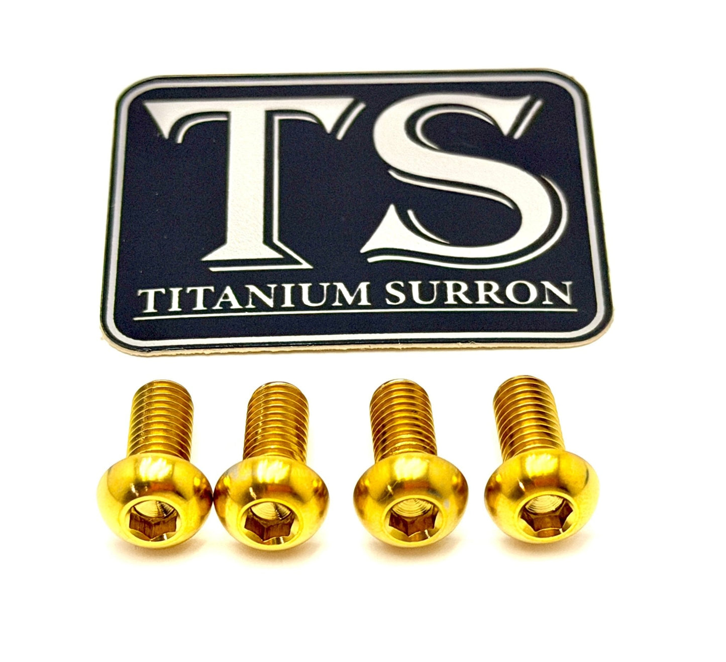 Titanium Controller Mount Bolts for E-moto